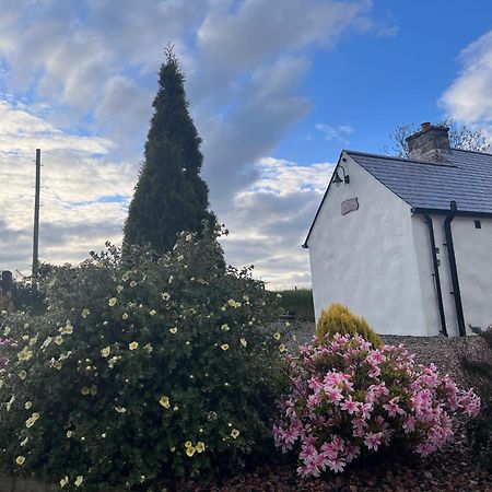 Dans Wee Cottage Slieve Croob Dromara Castlewellan Newcastle Buitenkant foto