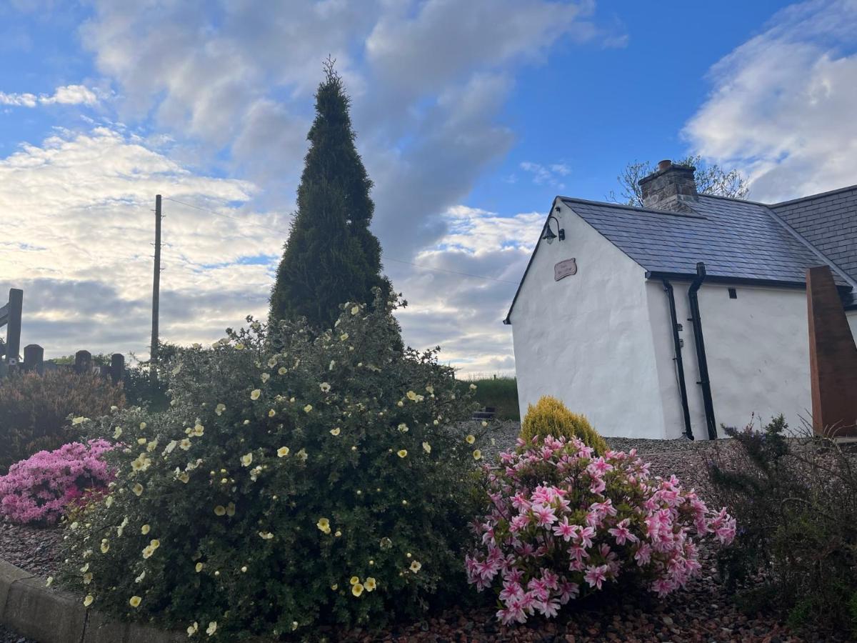Dans Wee Cottage Slieve Croob Dromara Castlewellan Newcastle Buitenkant foto