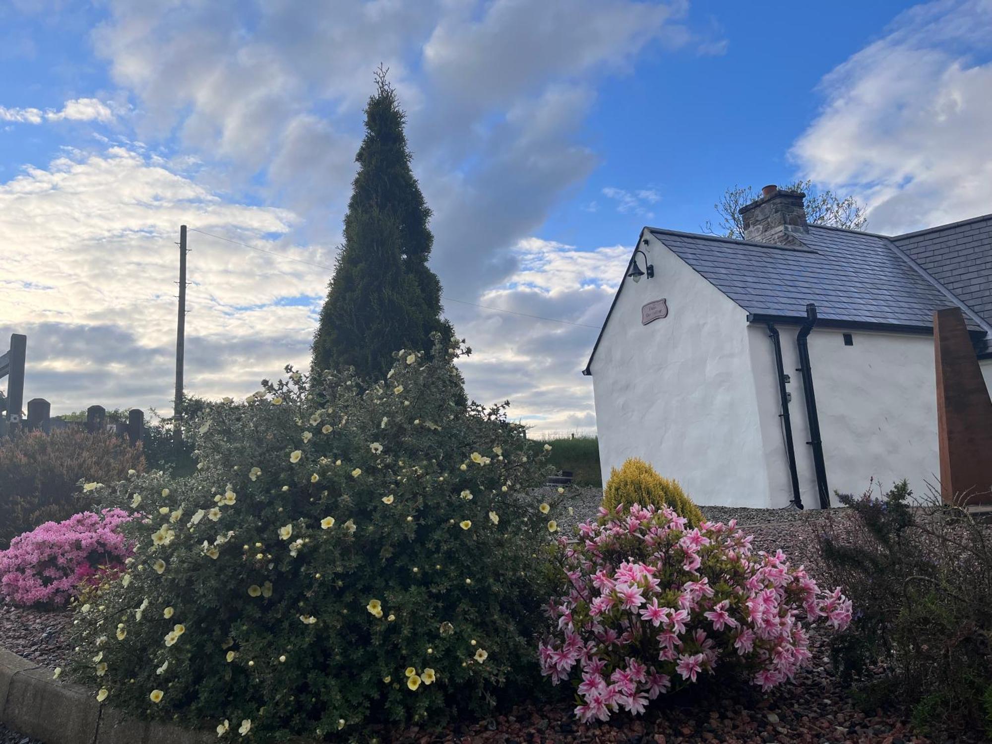 Dans Wee Cottage Slieve Croob Dromara Castlewellan Newcastle Buitenkant foto